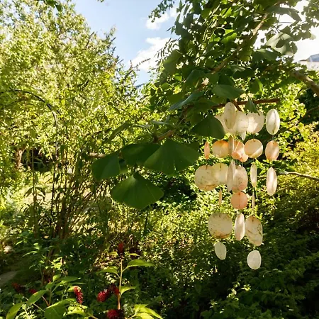 Atlas Hotel Ceske Budejovice