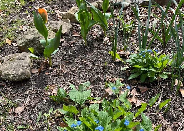 Atlas 3* 체스케부데요비체